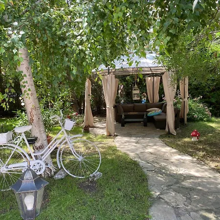 Daire Anita C 19 Sunny