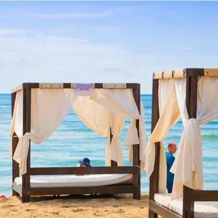 Anita C 19 Sunny Daire *