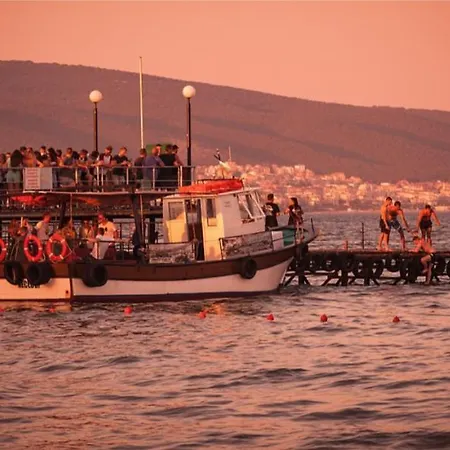 Anita C 19 Sunny Daire *